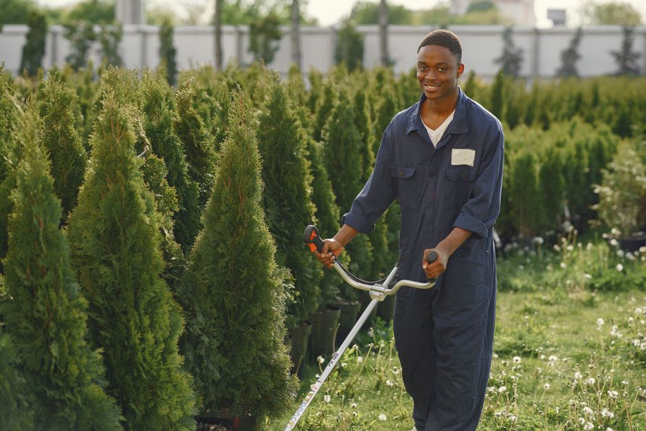 Professional gardener working on landscape design